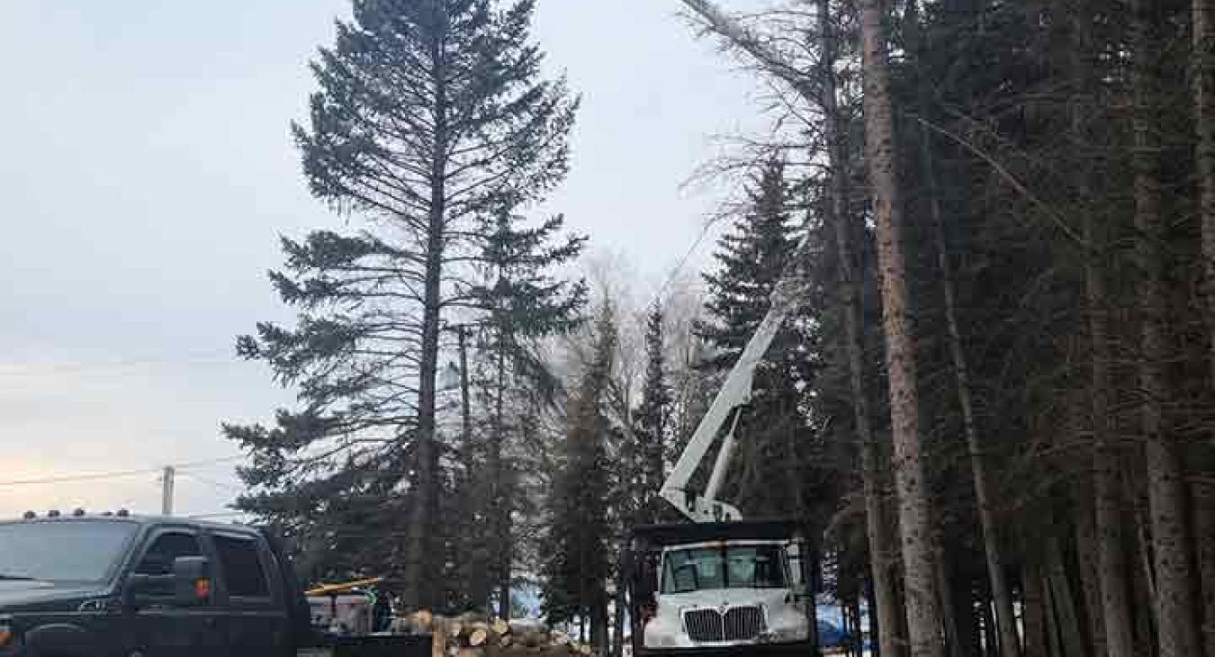 Raven's Tree Service