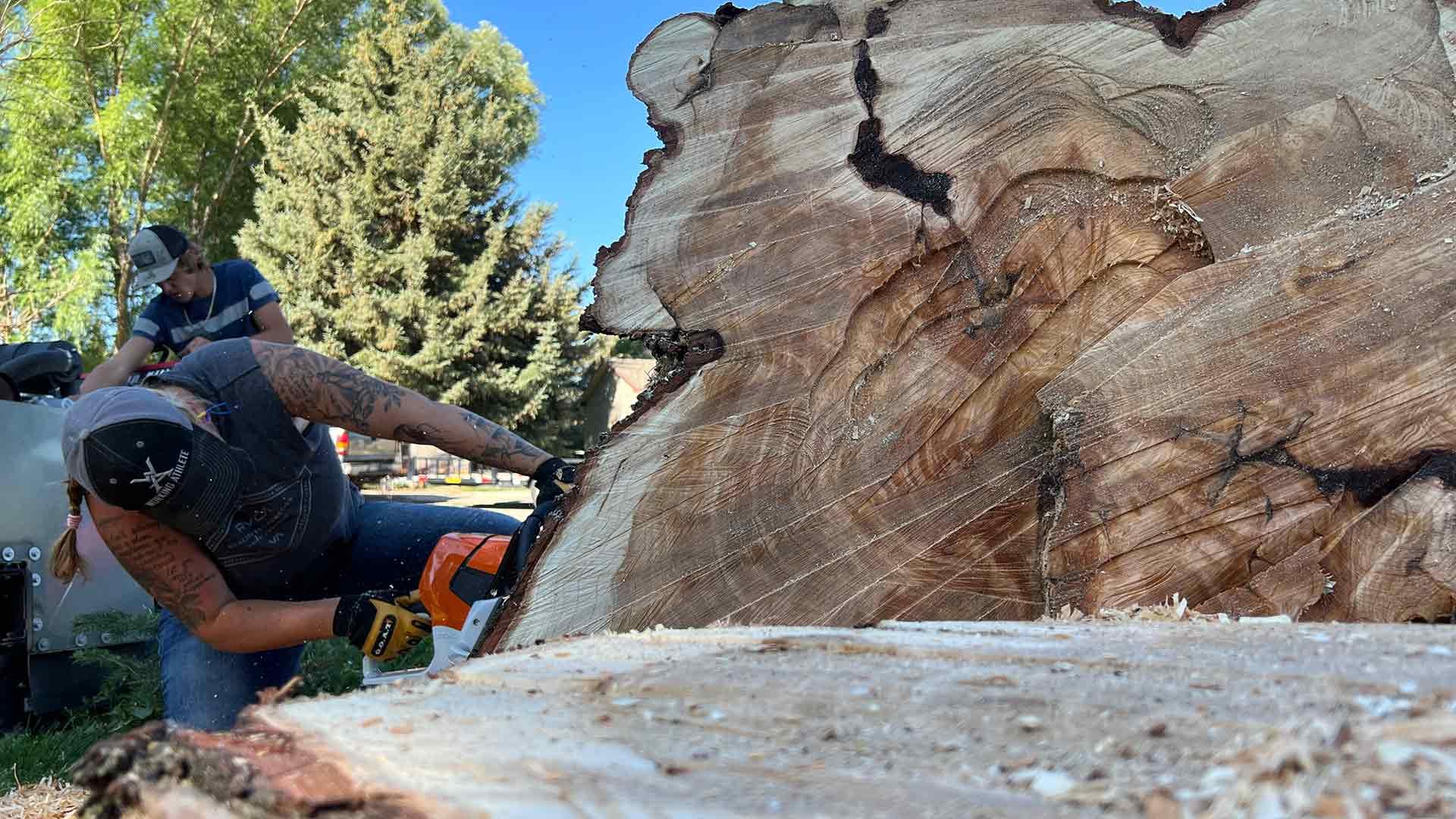 Chainsaw Work